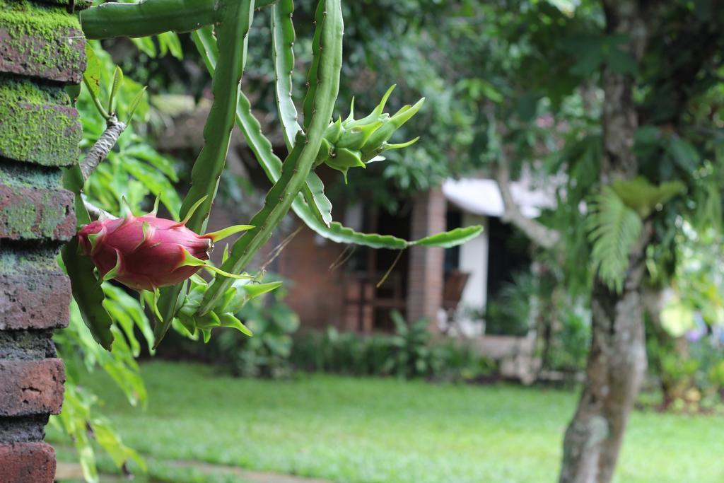 Timbis Homestay Bali Nusa Dua  Esterno foto